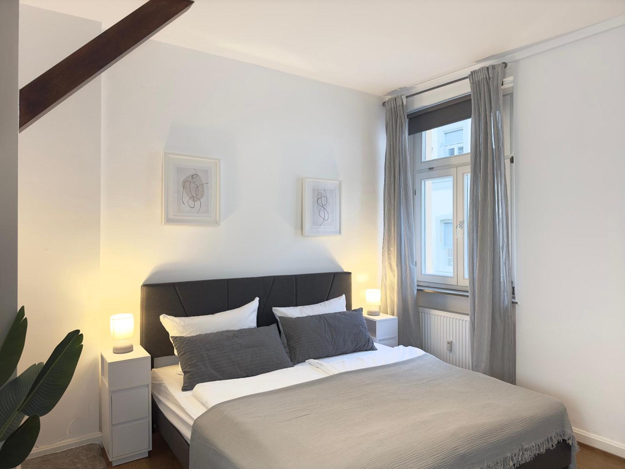 Luxury Old Town Suite - Xxl Terrasse & Xxl Penthouse Heidelberg Exteriér fotografie