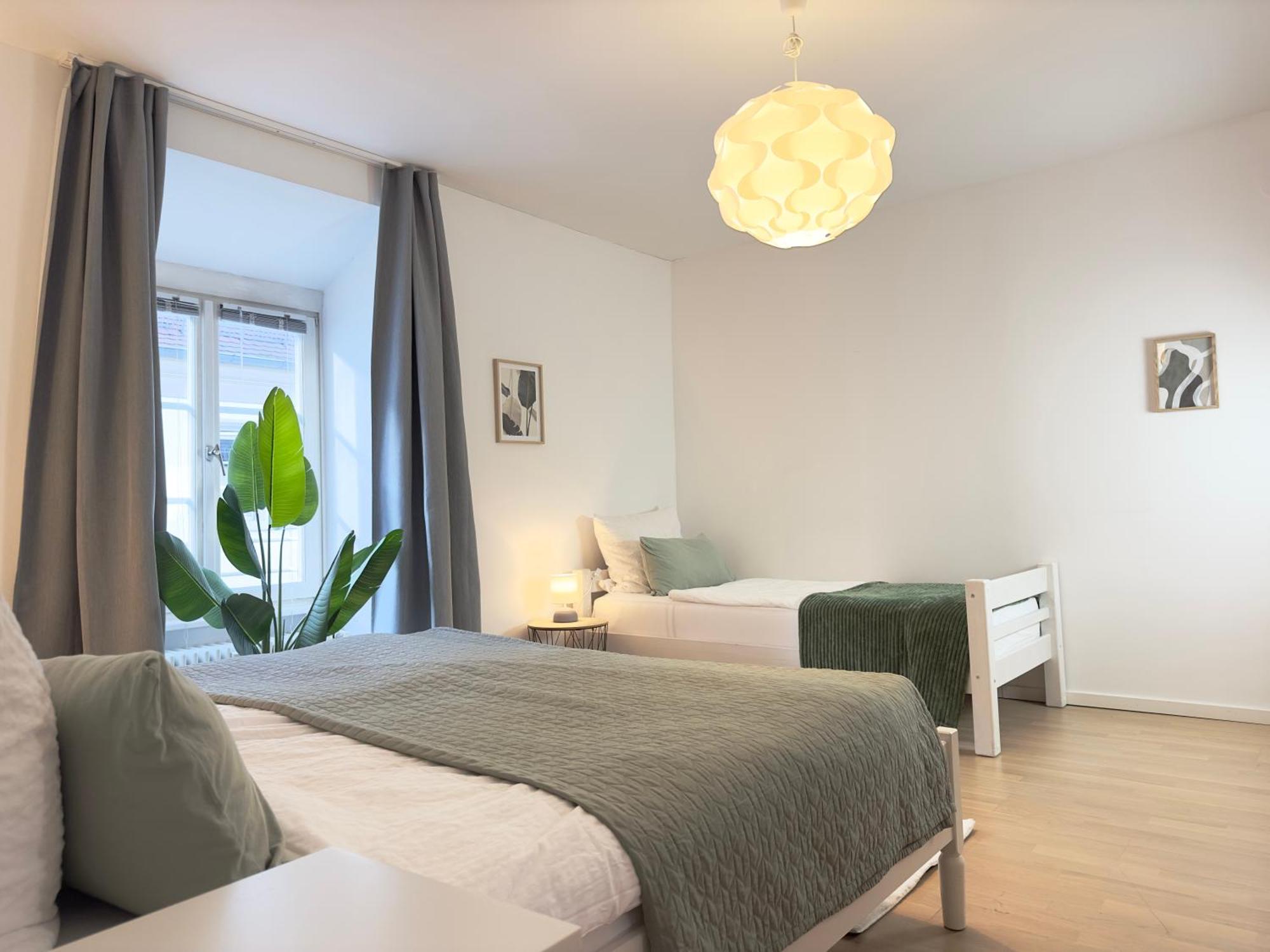 Luxury Old Town Suite - Xxl Terrasse & Xxl Penthouse Heidelberg Exteriér fotografie