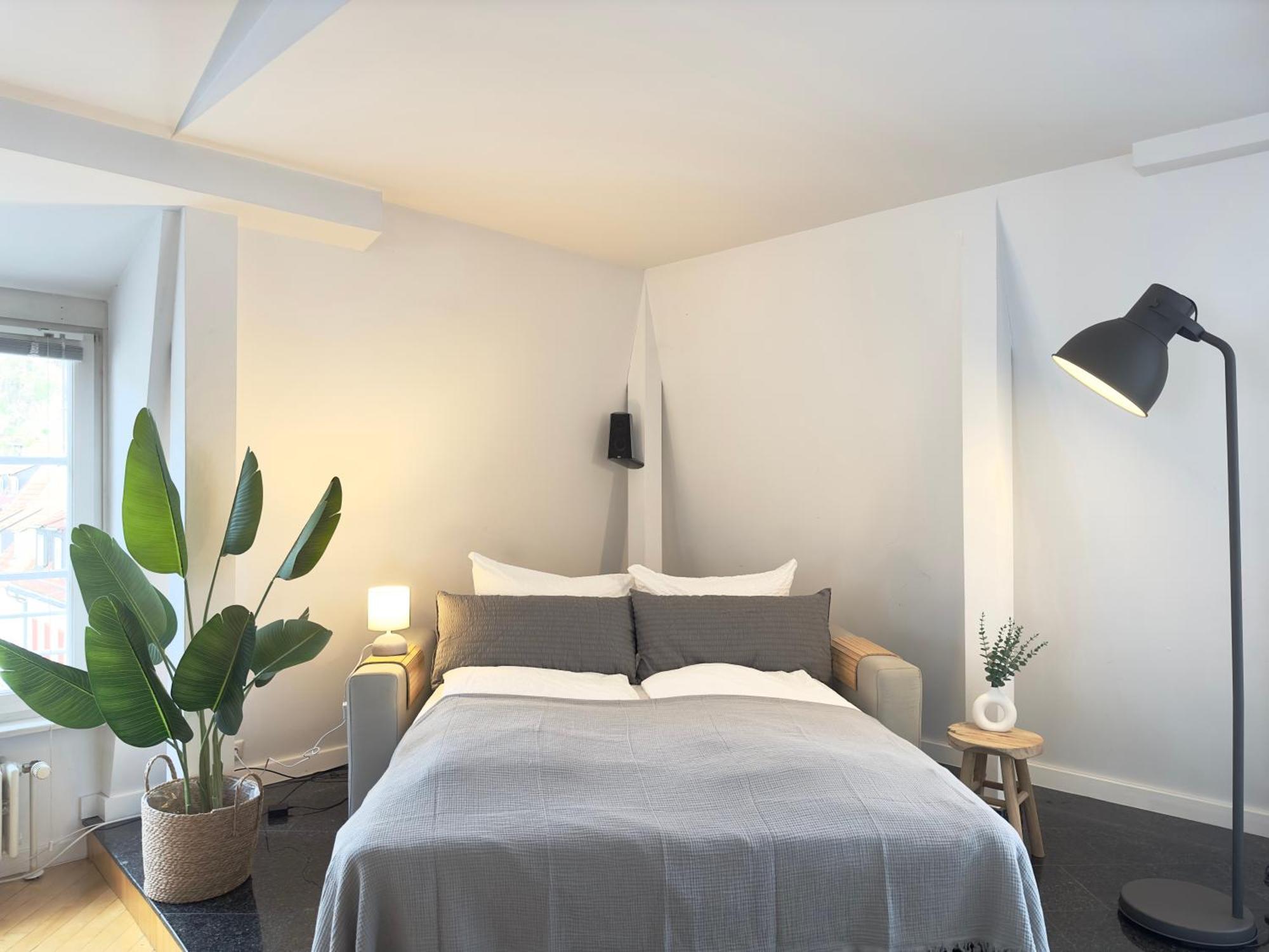 Luxury Old Town Suite - Xxl Terrasse & Xxl Penthouse Heidelberg Exteriér fotografie